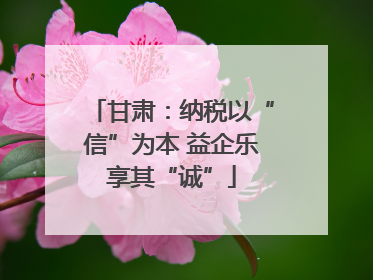 甘肃：纳税以“信”为本 益企乐享其“诚”