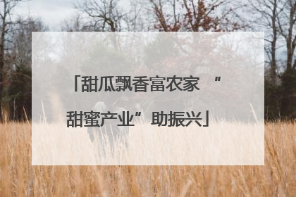 甜瓜飘香富农家 “甜蜜产业”助振兴