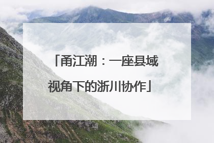 甬江潮：一座县域视角下的浙川协作
