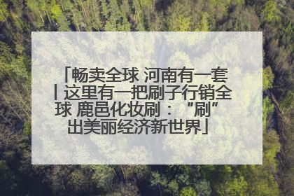 畅卖全球 河南有一套丨这里有一把刷子行销全球 鹿邑化妆刷：“刷”出美丽经济新世界