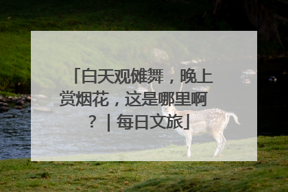白天观傩舞，晚上赏烟花，这是哪里啊？｜每日文旅
