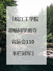 皖江工学院谭畅同学勇夺省运会110米栏冠军
