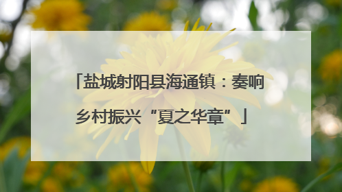 盐城射阳县海通镇：奏响乡村振兴“夏之华章”