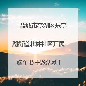 盐城市亭湖区东亭湖街道北林社区开展端午节主题活动