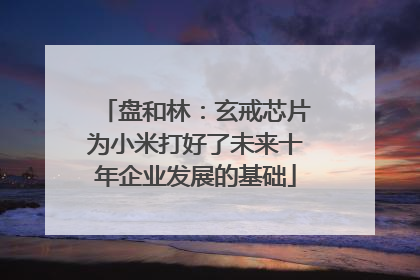盘和林：玄戒芯片为小米打好了未来十年企业发展的基础