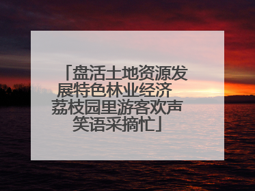 盘活土地资源发展特色林业经济 荔枝园里游客欢声笑语采摘忙