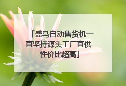 盛马自动售货机一直坚持源头工厂直供 性价比超高