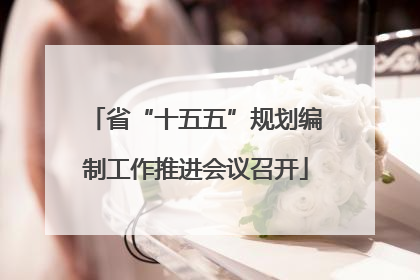 省“十五五”规划编制工作推进会议召开