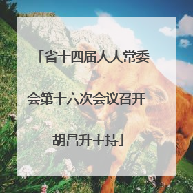 省十四届人大常委会第十六次会议召开 胡昌升主持