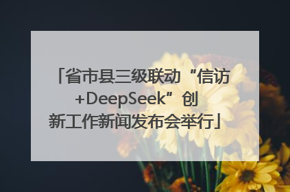 省市县三级联动“信访+DeepSeek”创新工作新闻发布会举行