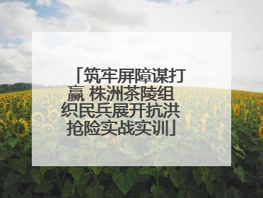 筑牢屏障谋打赢 株洲茶陵组织民兵展开抗洪抢险实战实训