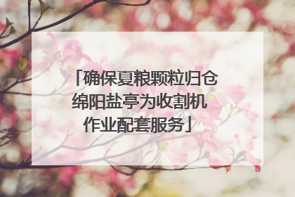 确保夏粮颗粒归仓 绵阳盐亭为收割机作业配套服务
