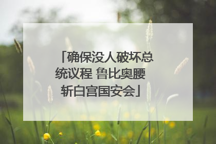 确保没人破坏总统议程 鲁比奥腰斩白宫国安会