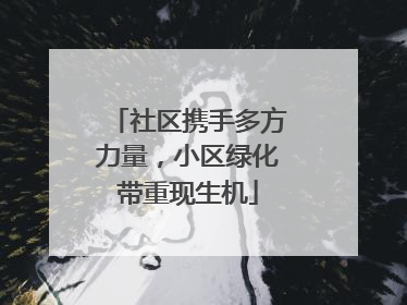 社区携手多方力量，小区绿化带重现生机