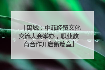 禹城：中菲经贸文化交流大会举办，职业教育合作开启新篇章