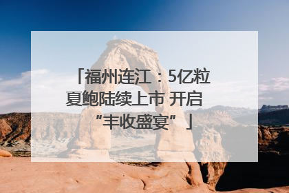 福州连江：5亿粒夏鲍陆续上市 开启“丰收盛宴”