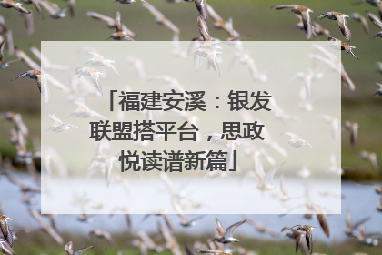 福建安溪：银发联盟搭平台，思政悦读谱新篇