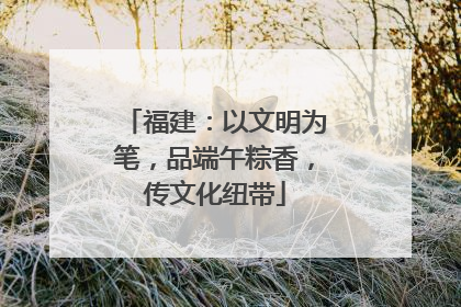 福建：以文明为笔，品端午粽香，传文化纽带