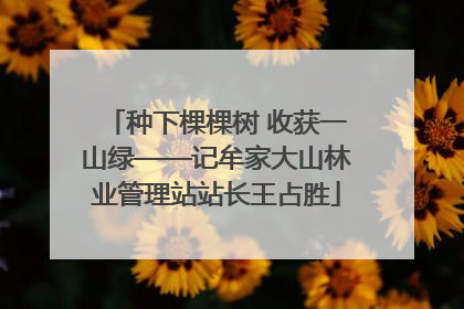 种下棵棵树 收获一山绿——记牟家大山林业管理站站长王占胜