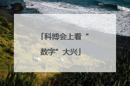科博会上看“数字”大兴