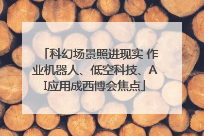科幻场景照进现实 作业机器人、低空科技、AI应用成西博会焦点