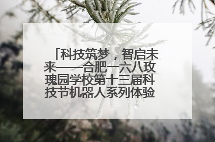 科技筑梦，智启未来——合肥一六八玫瑰园学校第十三届科技节机器人系列体验赛燃动校园