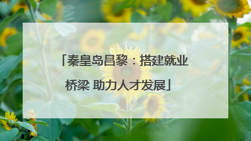 秦皇岛昌黎：搭建就业桥梁 助力人才发展
