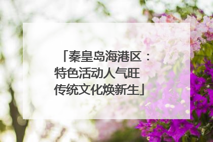 秦皇岛海港区：特色活动人气旺 传统文化焕新生