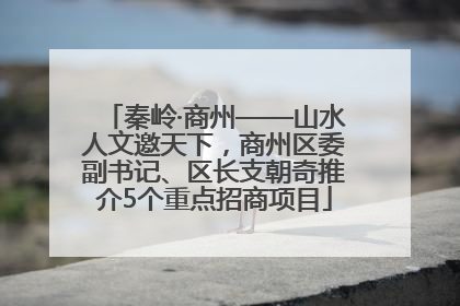 秦岭·商州——山水人文邀天下，商州区委副书记、区长支朝奇推介5个重点招商项目