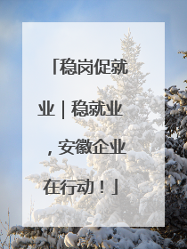 稳岗促就业｜稳就业，安徽企业在行动！