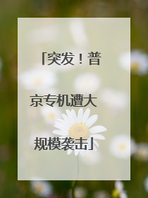 突发！普京专机遭大规模袭击