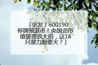 突发！600190停牌预退市！央国企市值管理放大招，这16只潜力股要火？