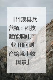 竹溪县兵营镇：科技赋能烟叶产业 田间测产绘就丰收图景