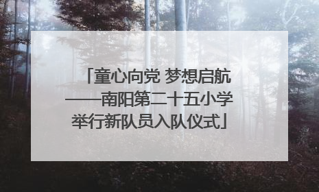 童心向党 梦想启航——南阳第二十五小学举行新队员入队仪式