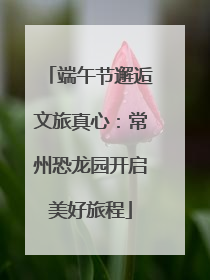 端午节邂逅文旅真心：常州恐龙园开启美好旅程