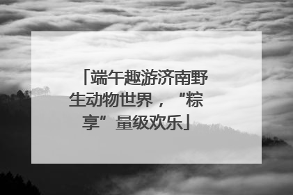 端午趣游济南野生动物世界，“粽享”量级欢乐