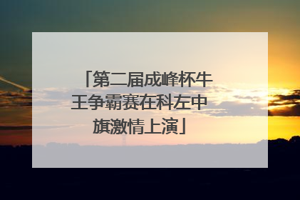 第二届成峰杯牛王争霸赛在科左中旗激情上演