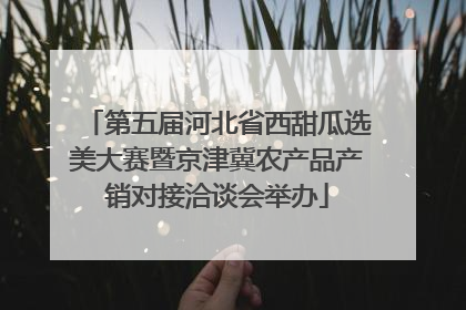 第五届河北省西甜瓜选美大赛暨京津冀农产品产销对接洽谈会举办