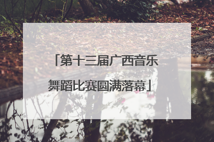 第十三届广西音乐舞蹈比赛圆满落幕
