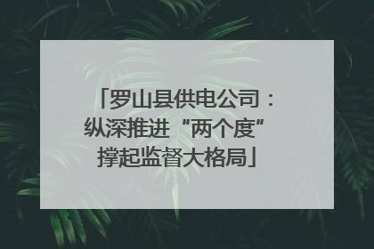 罗山县供电公司：纵深推进“两个度” 撑起监督大格局