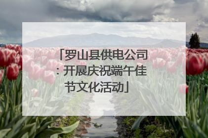 罗山县供电公司：开展庆祝端午佳节文化活动