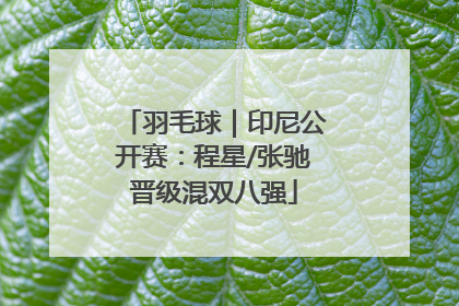 羽毛球｜印尼公开赛：程星/张驰晋级混双八强