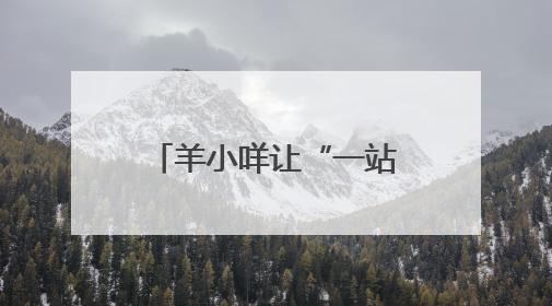 羊小咩让“一站式品质生活”从理想变为现实