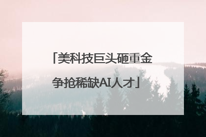 美科技巨头砸重金争抢稀缺AI人才