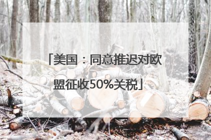 美国：同意推迟对欧盟征收50%关税