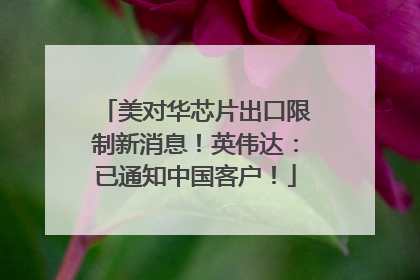 美对华芯片出口限制新消息！英伟达：已通知中国客户！