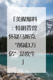 美媒爆料：特朗普曾怀疑马斯克“削减1万亿”是吹牛