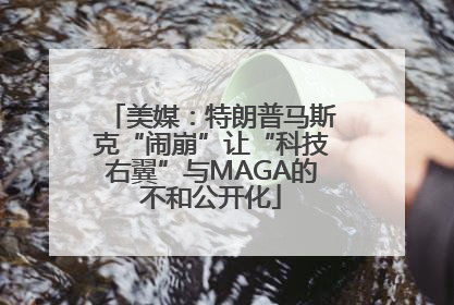 美媒：特朗普马斯克“闹崩”让“科技右翼”与MAGA的不和公开化