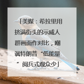 美媒：希拉里用挤满街头的示威人群画面作对比，嘲讽特朗普“低能量”阅兵式观众少