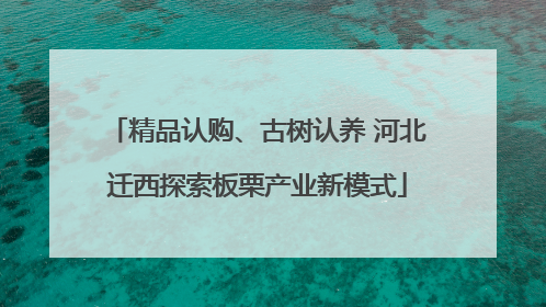精品认购、古树认养 河北迁西探索板栗产业新模式